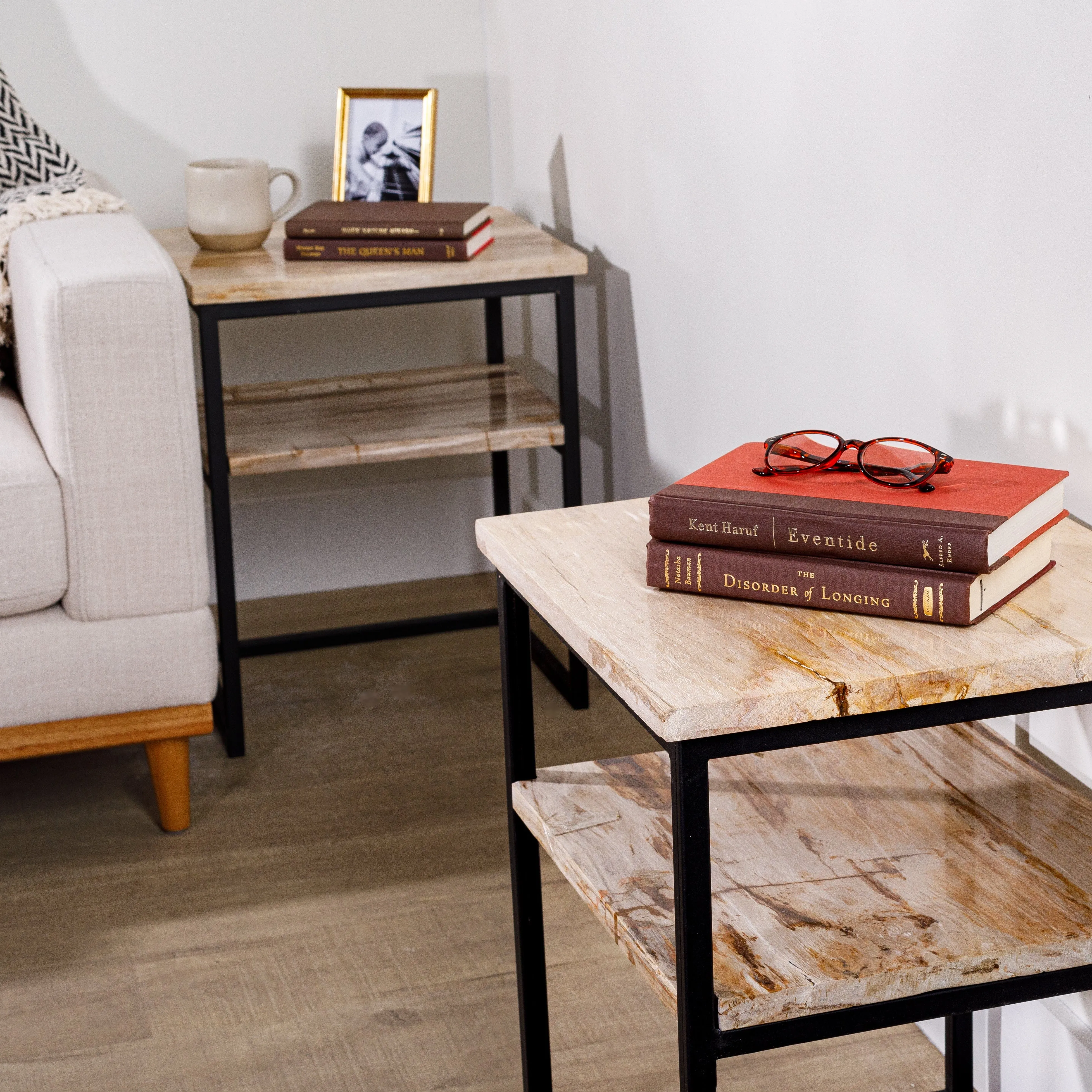 22 Brown Petrified Wood Side Table