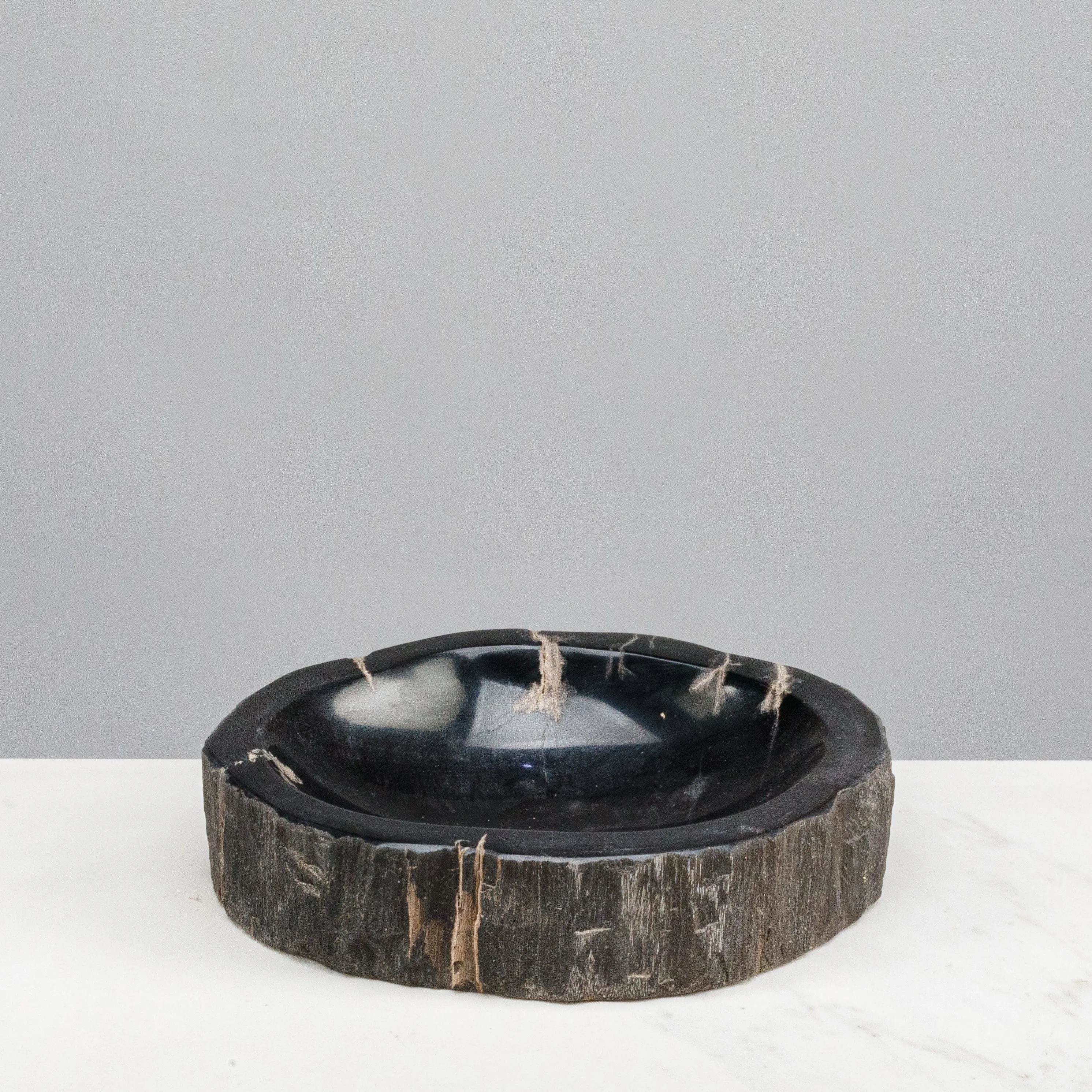 7 Black Petrified Wood Ashtray