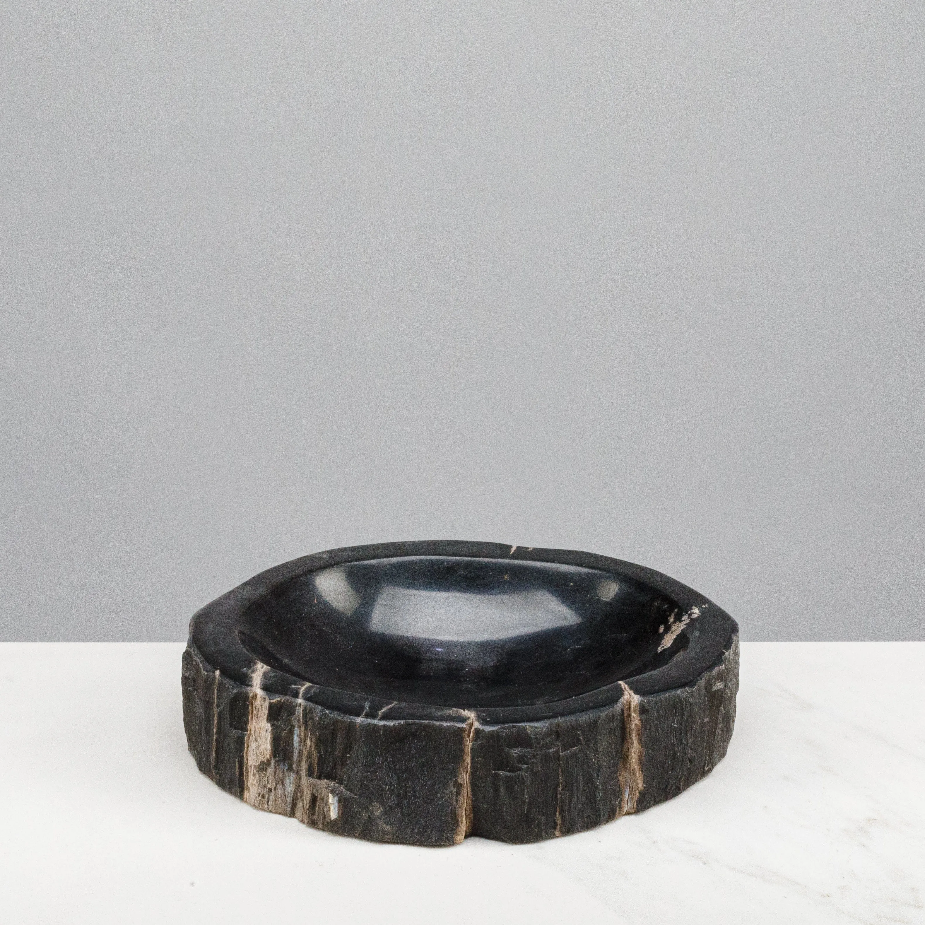 7 Black Petrified Wood Ashtray