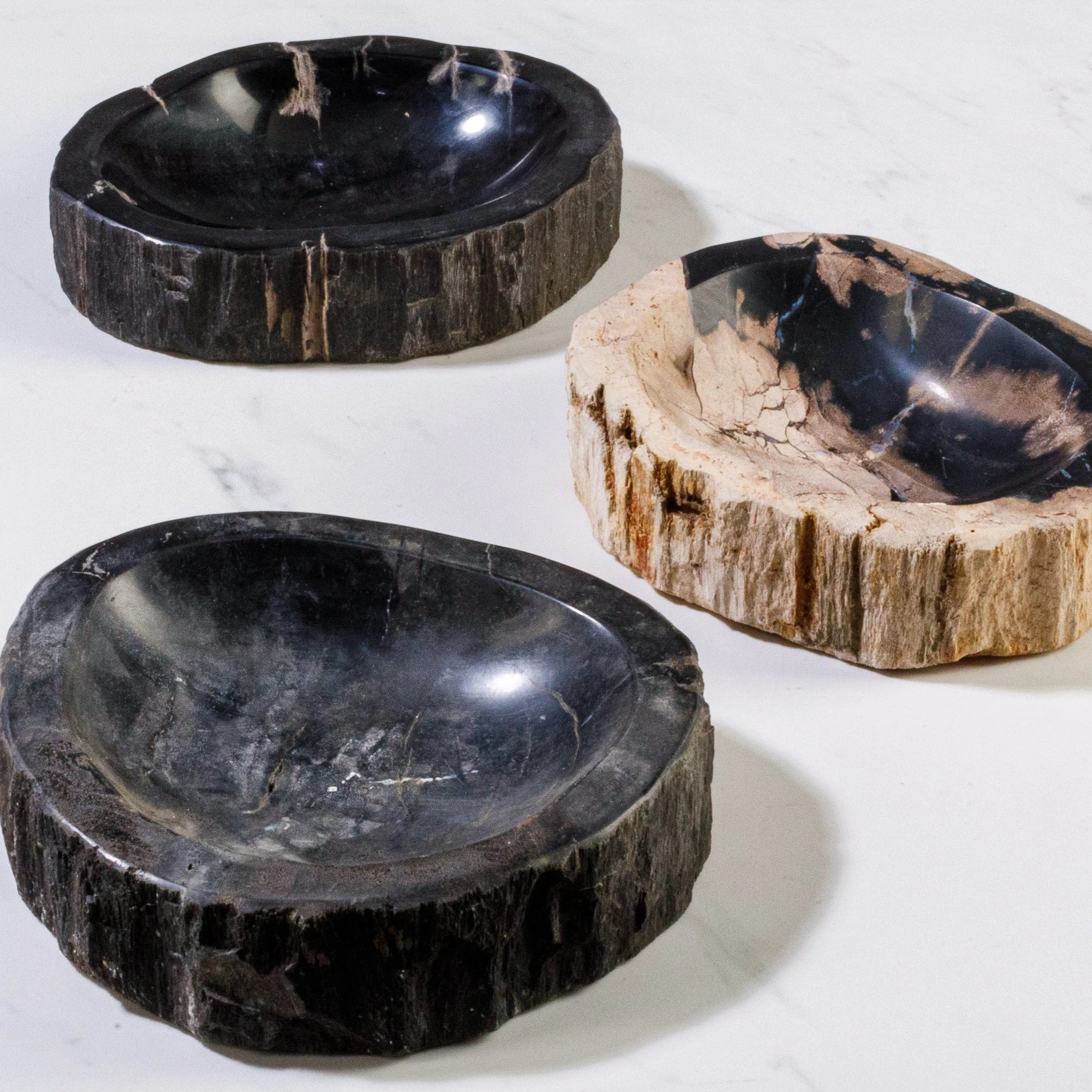 7 Black Petrified Wood Ashtray