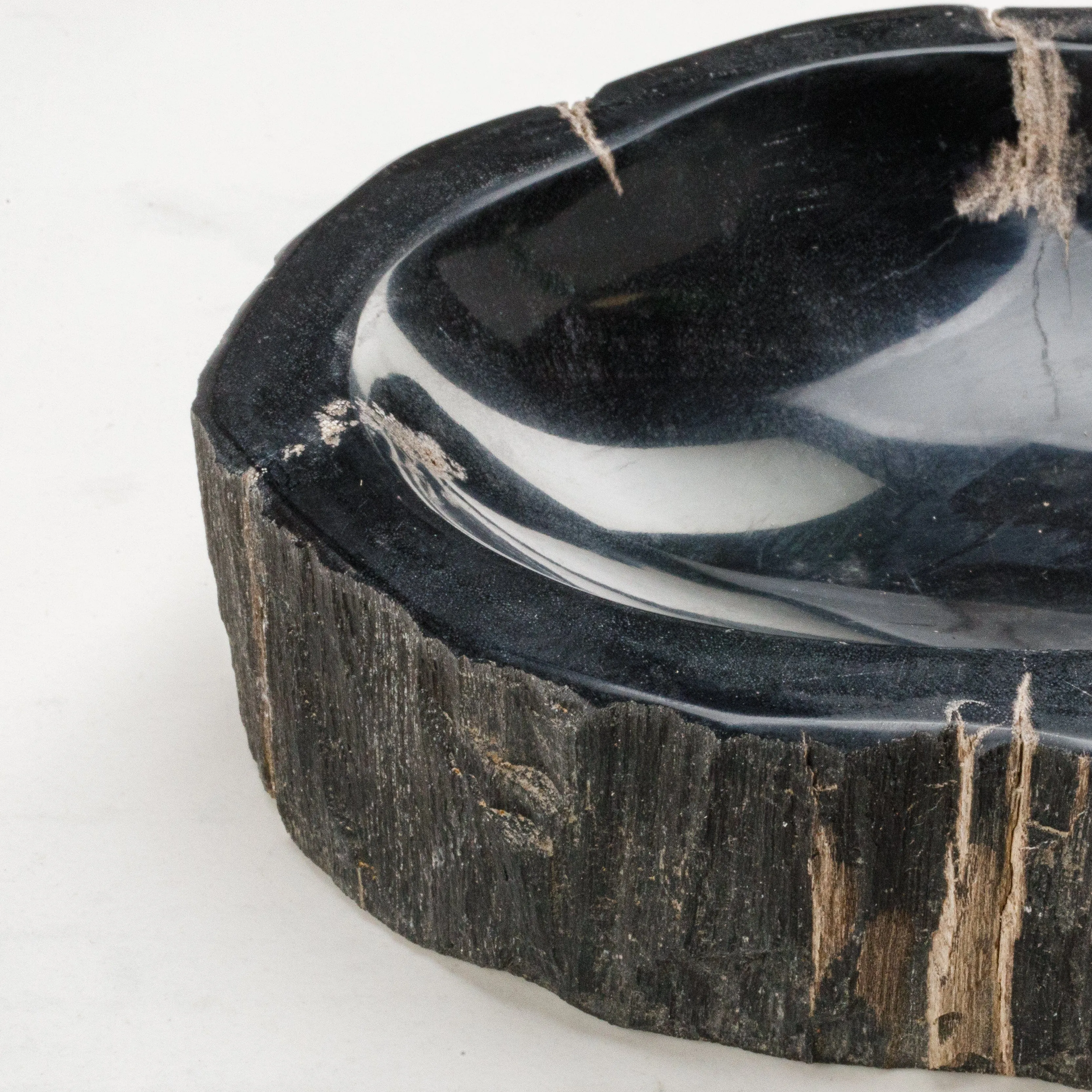 7 Black Petrified Wood Ashtray