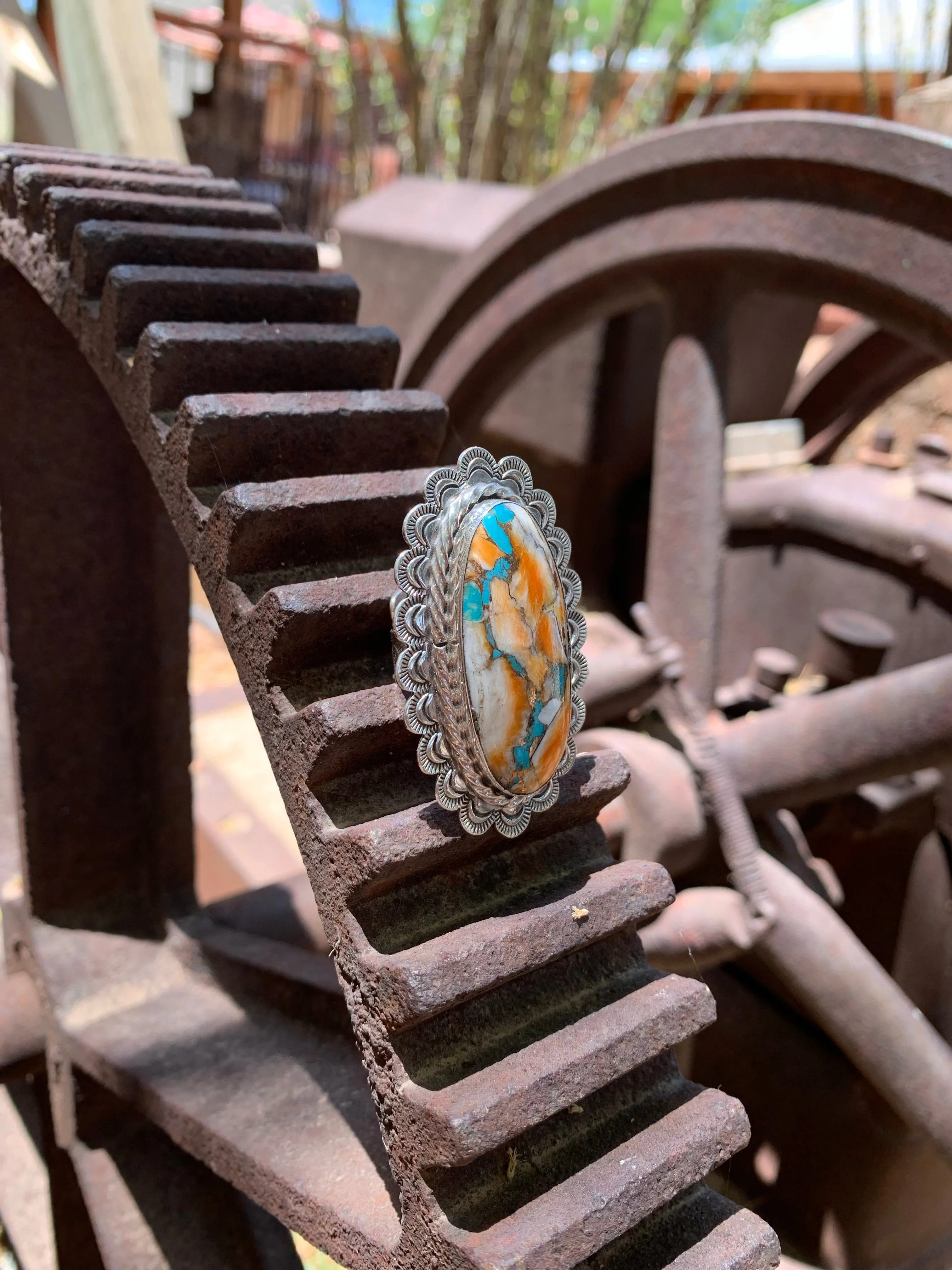 Scalloped Turquoise & Spiny Oyster Shell Adjustable ring