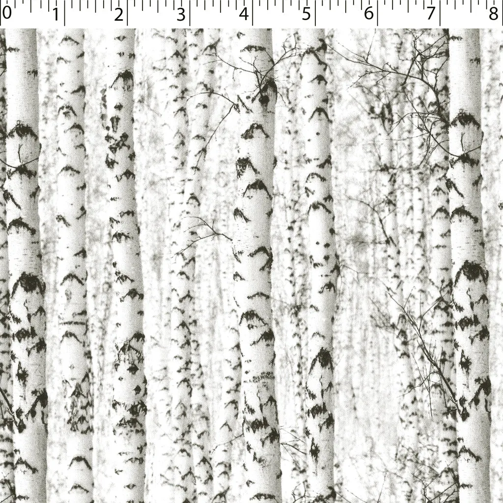 WINTER WONDERLAND - WINTER BIRCH